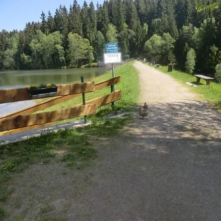 Irenahaus By Interhome