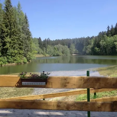 Irenahaus By Interhome * Grunhaide