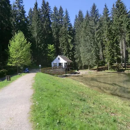 Irenahaus By Interhome * Grunhaide