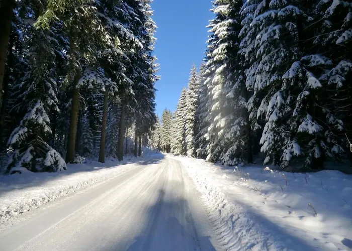 Irenahaus By Interhome *