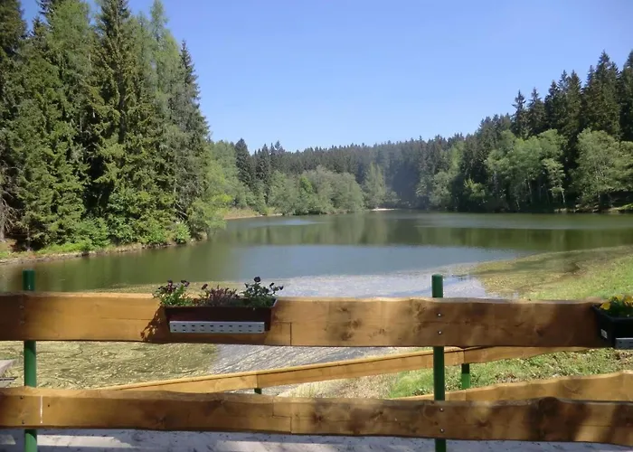 Irenahaus By Interhome * Grunhaide