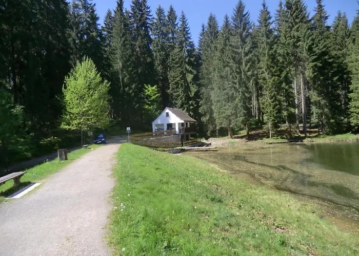 Irenahaus By Interhome * Grunhaide